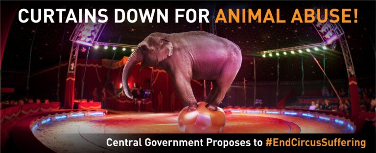 AWBI cancel registration of 5 circuses