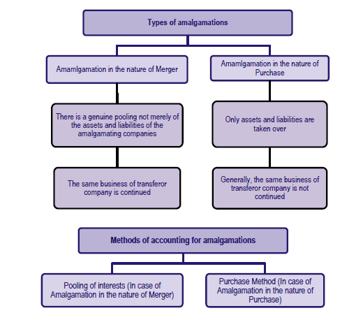 case study on amalgamation of two companies in india