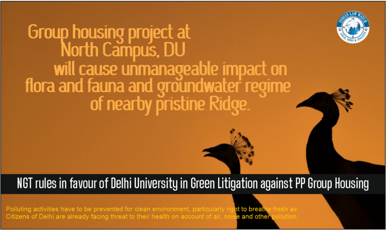 DU - Delhi University