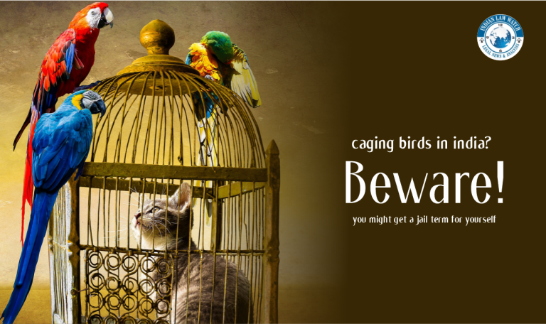 caging birds
