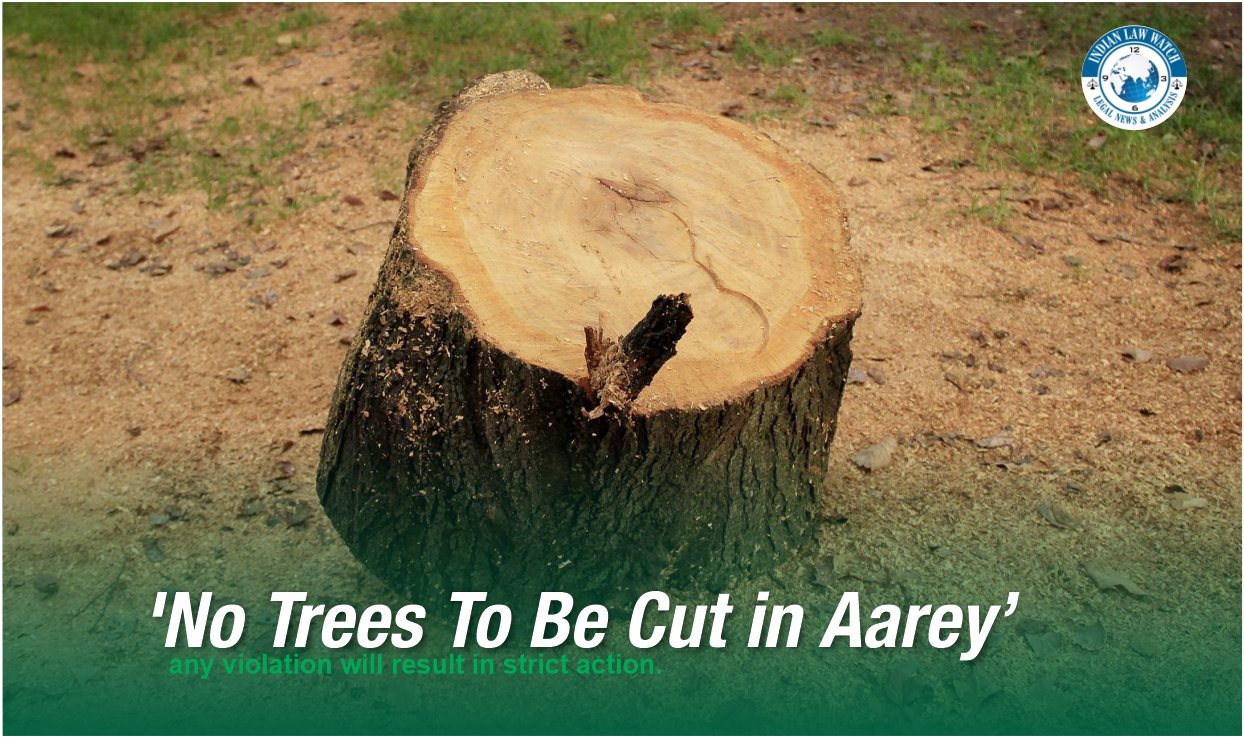 Aarey