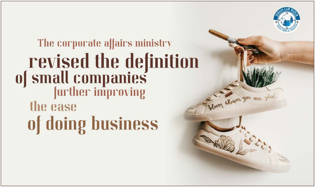 definition of small companies