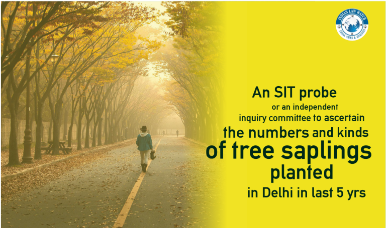 tree saplings planted