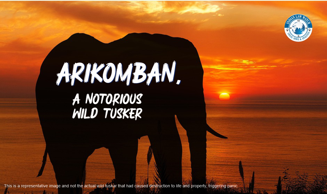 Arikomban, the wild tuskar