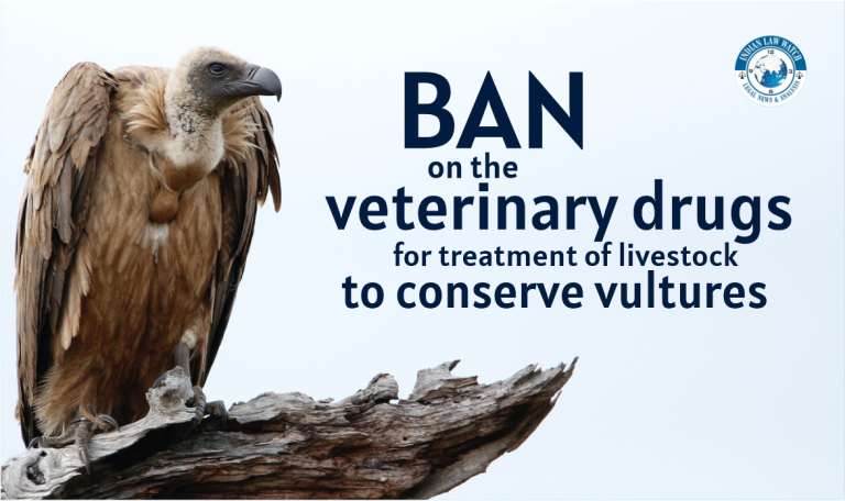 conserving vultures